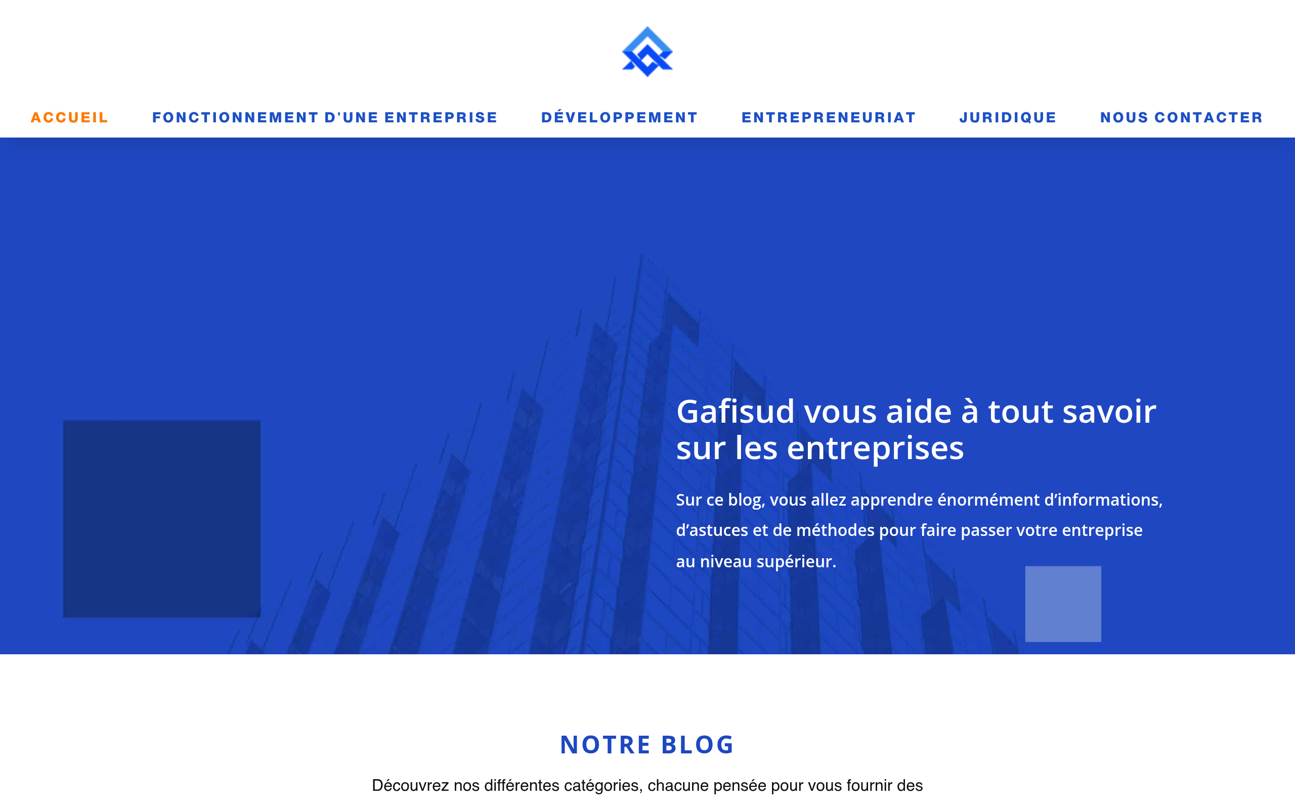 gafisud.org screenshot